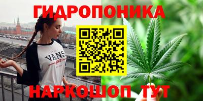 СК Гусев