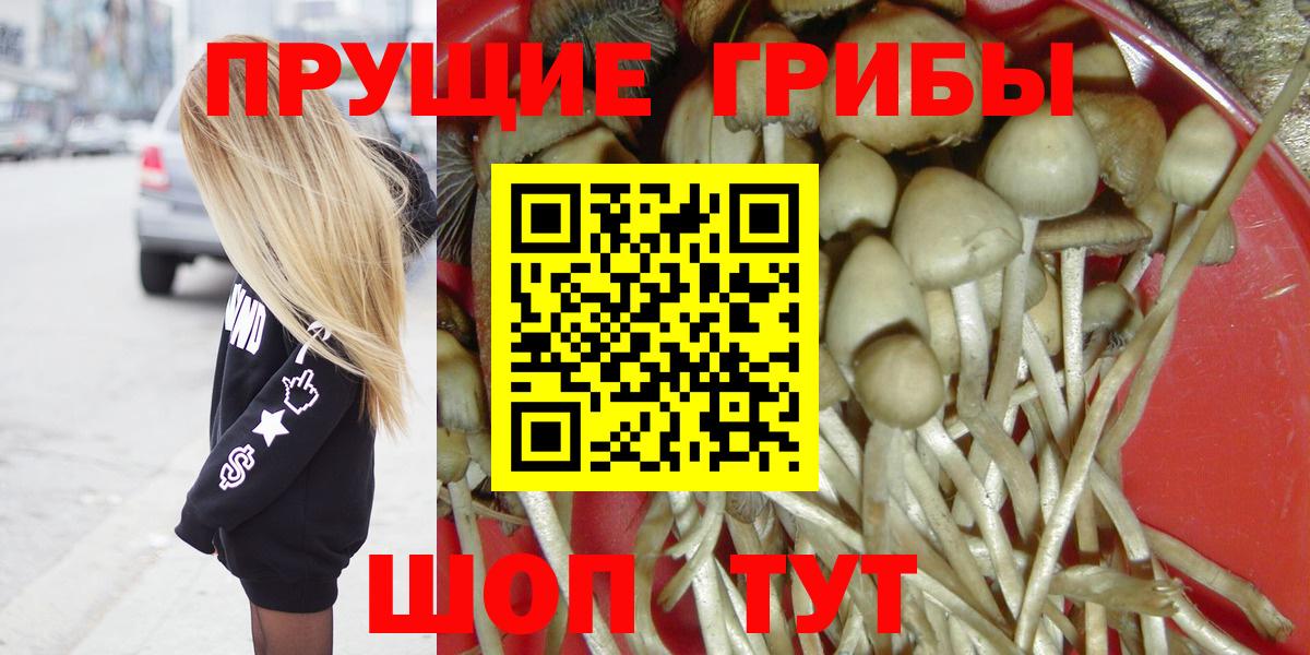 Псилоцибиновые грибы Psilocybe  Вход с VPN  наркотики  Всеволожск 