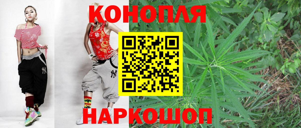 Всеволожск  Каннабис сатива  Конопля планчик  Вход с VPN 